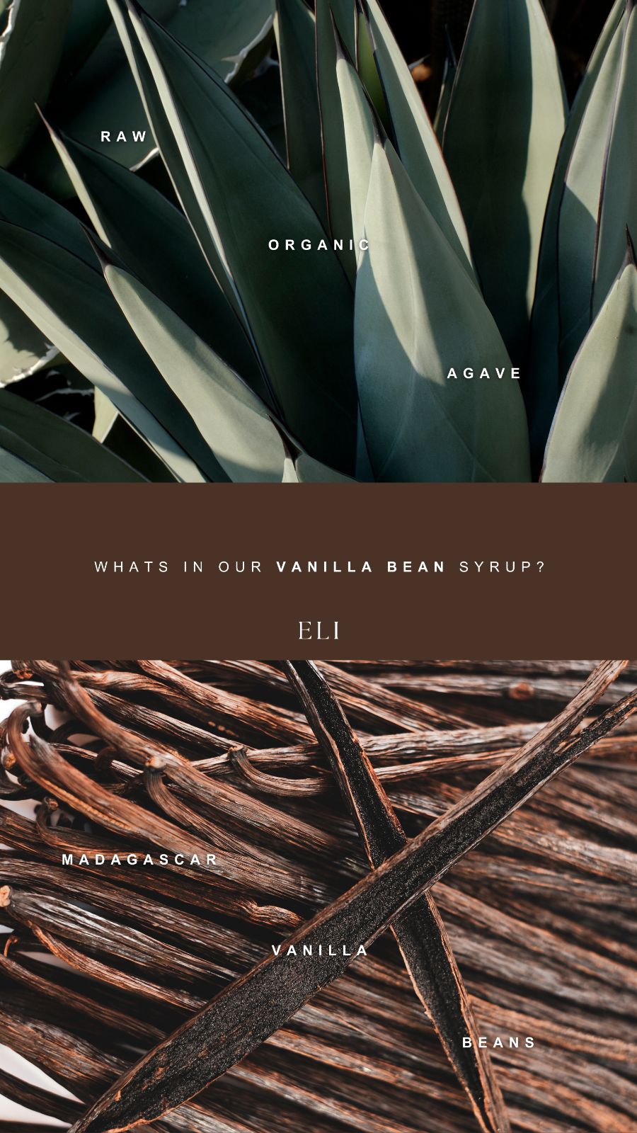 Split vanilla pods and agave leaves, labeled in spaced caps